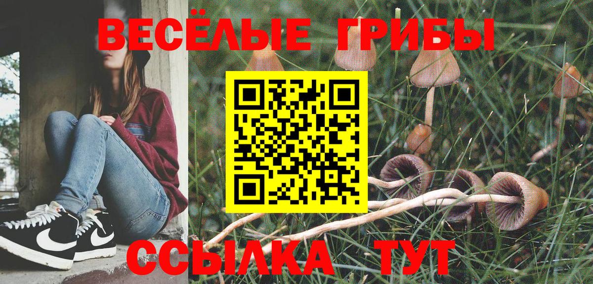 Псилоцибиновые грибы Psilocybine cubensis Екатеринбург