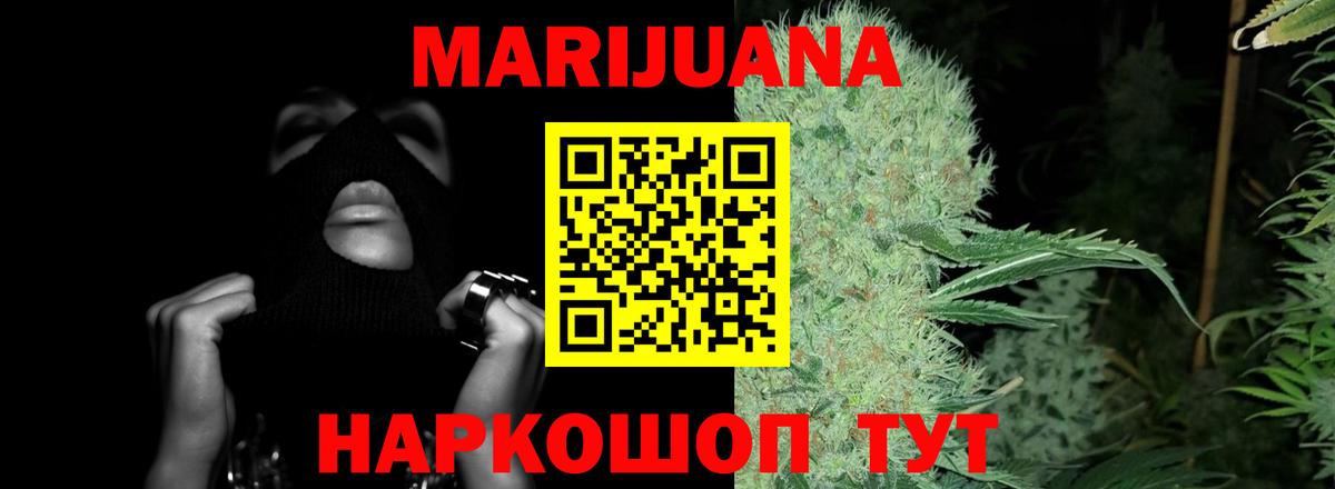 Конопля Ganja  Канабис планчик  Вход с VPN  Бошки Шишки конопля  Екатеринбург 